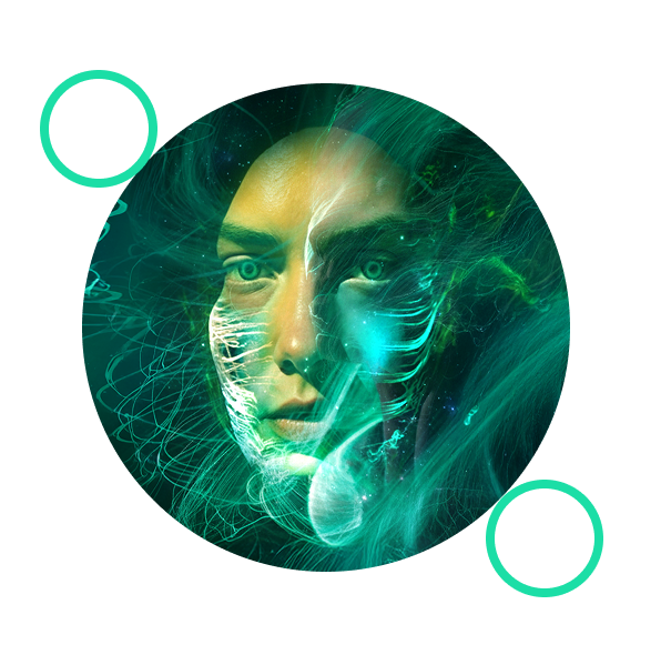 IMAGE Landing Synthetic Users